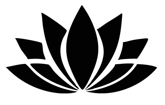 1laserspa.com